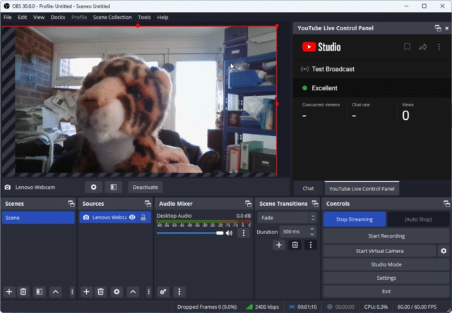 Giao diện OBS Studio với webcam
